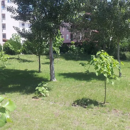Vip Zone Слънчев бряг