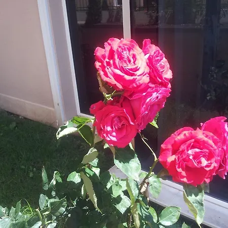 Apartment Vip Zone Sunny Beach